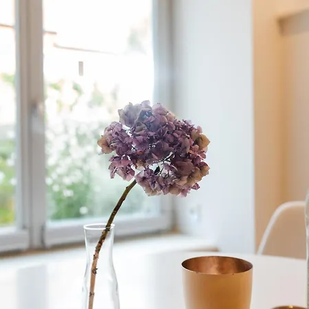 Souterrain Villa-appartements